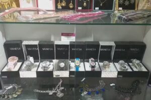 BRILLANDO VANESA DURAN