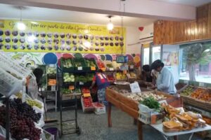 JOYAS DEL SOL frutas Y Verduras