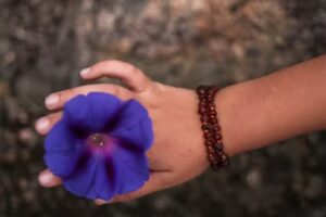 Nomade &ndash; Accesorios y Amuletos &ndash; Collares de &Aacute;mbar del Mar B&aacute;ltico