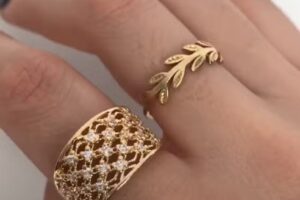 Perla Negra Joyas Gerencia Diego Esnal