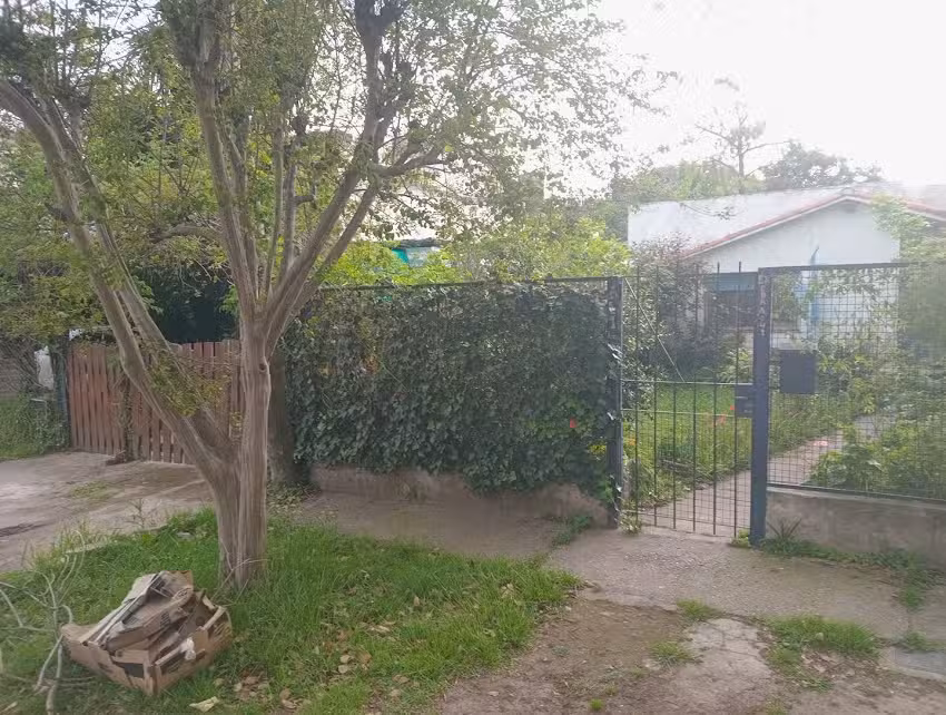 Sof&iacute;t &Eacute;lan